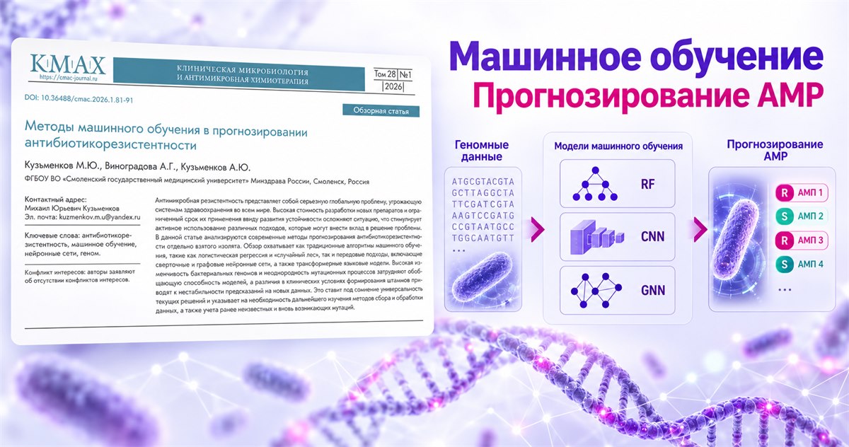 Методы машинного обучения для прогнозирования антибиотикорезистентности – публикация КМАХ и схема RF, CNN и GNN