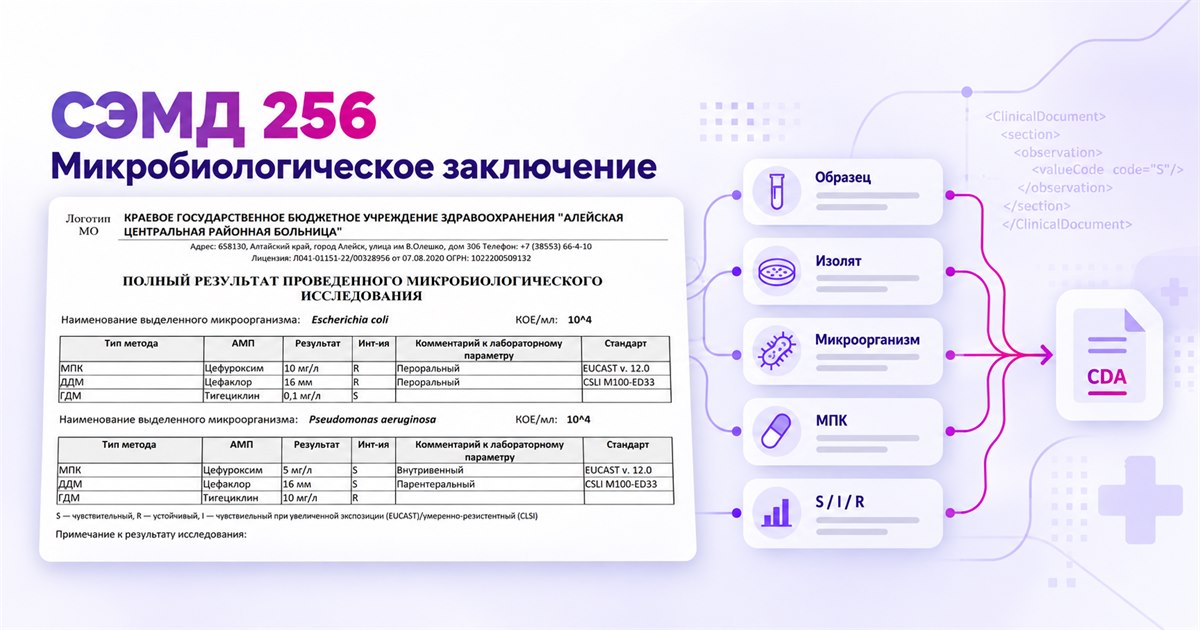 СЭМД 256 – микробиологическое заключение и структура передачи образца, изолята, микроорганизма, МПК и S/I/R