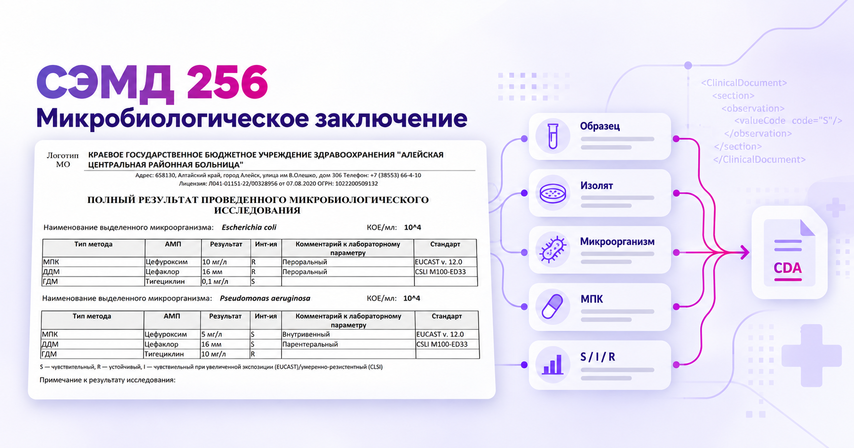 СЭМД 256 – микробиологическое заключение и структура передачи образца, изолята, микроорганизма, МПК и S/I/R